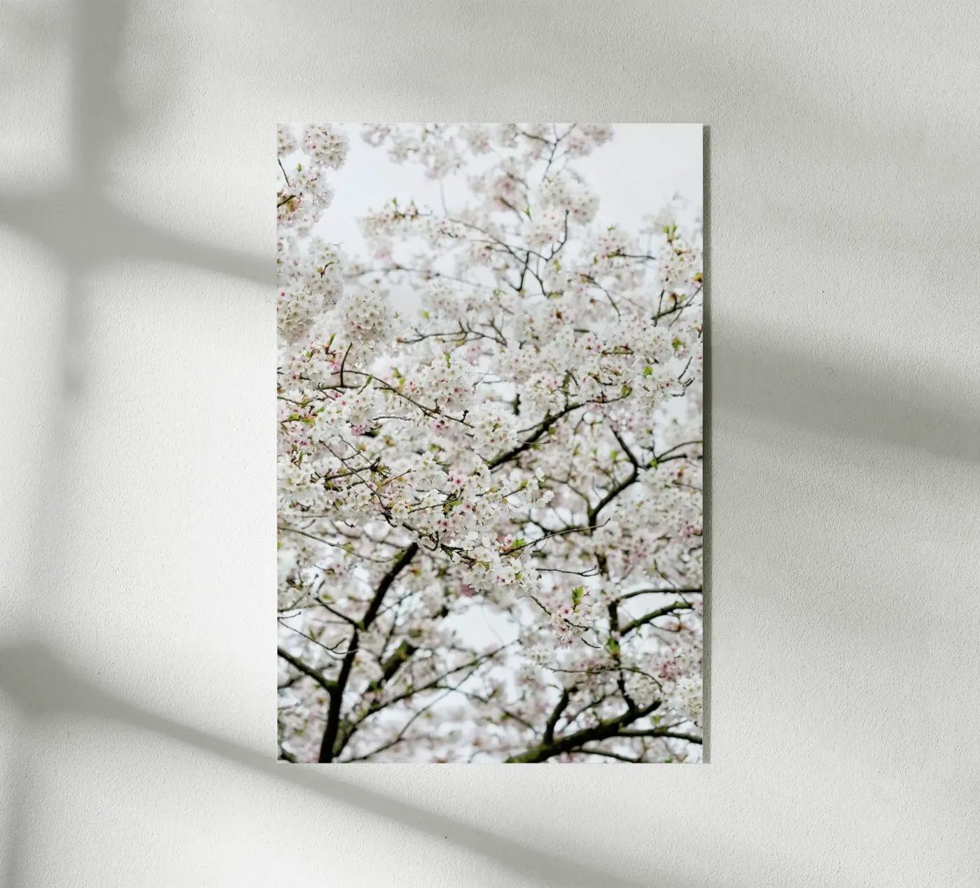 Blossom White 1 plexiglass da Curious Collections by Marielle Leenders