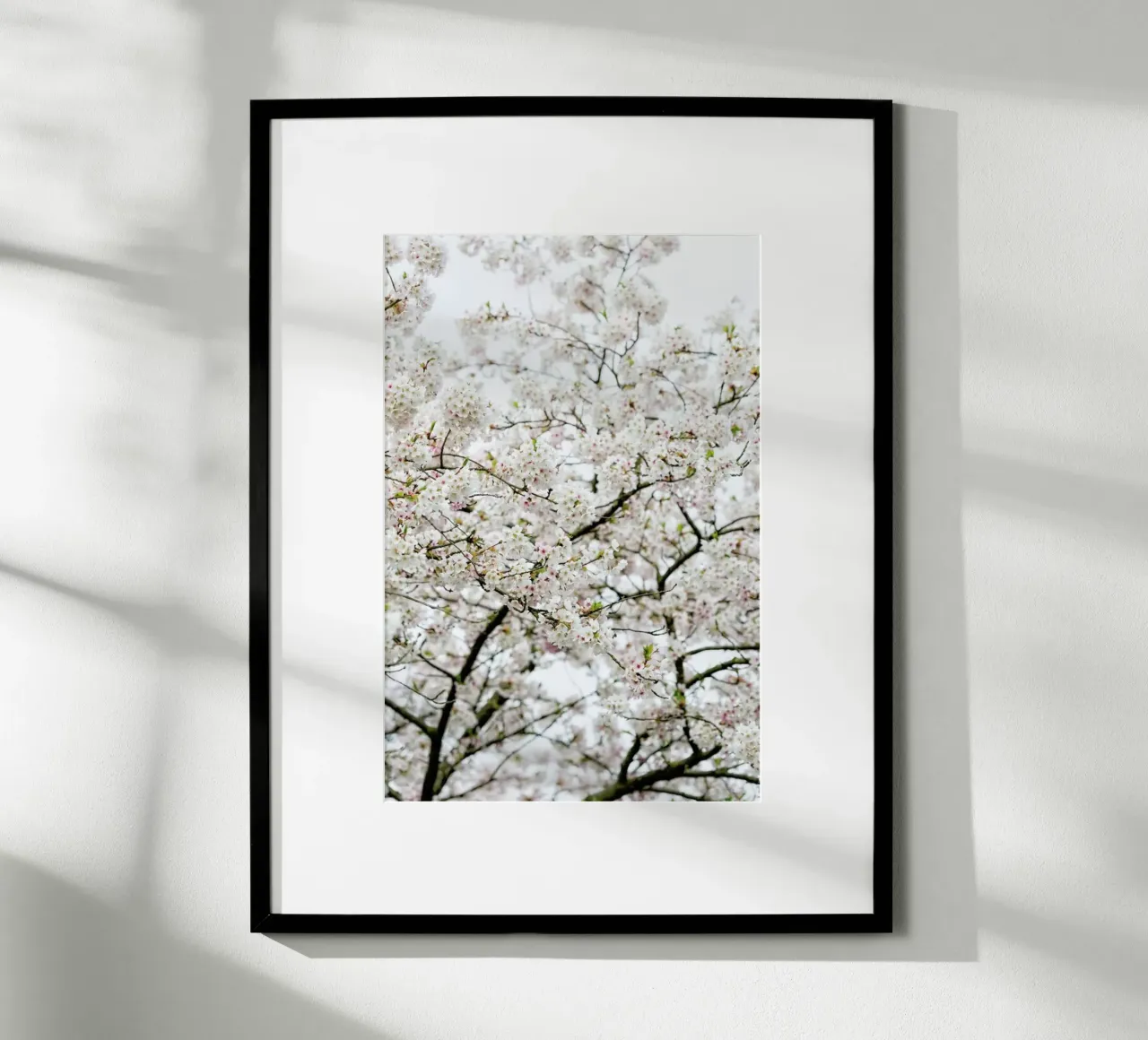 Blossom White 1 poster con telaio in plastica da Curious Collections by Marielle Leenders