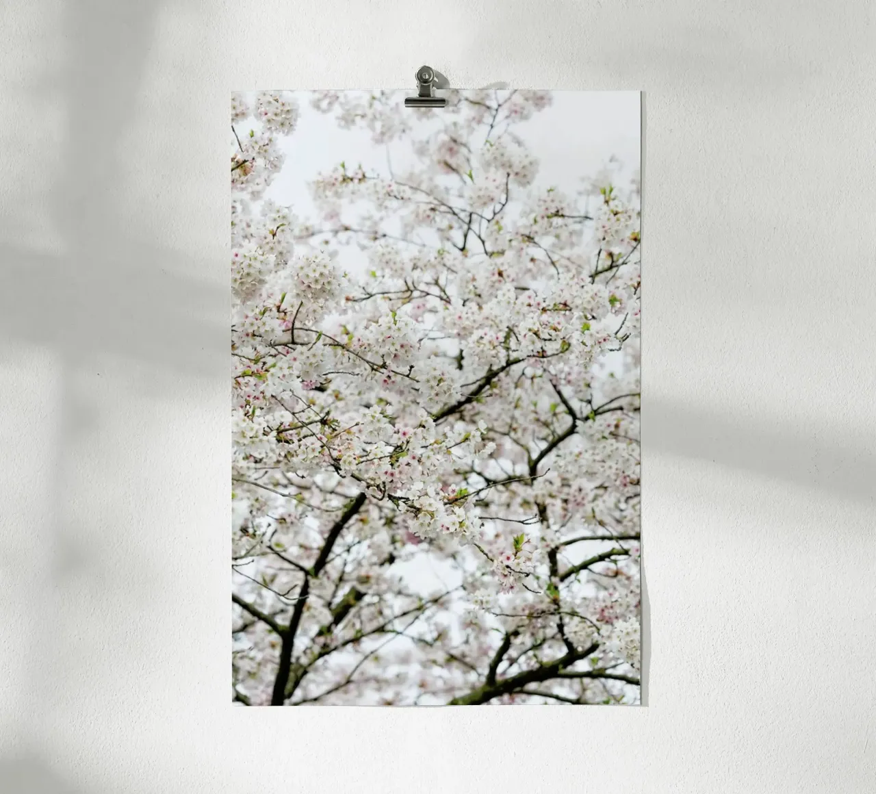 Blossom White 1 poster con telaio in plastica da Curious Collections by Marielle Leenders