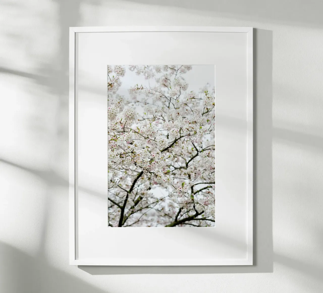 Blossom White 1 poster con telaio in plastica da Curious Collections by Marielle Leenders
