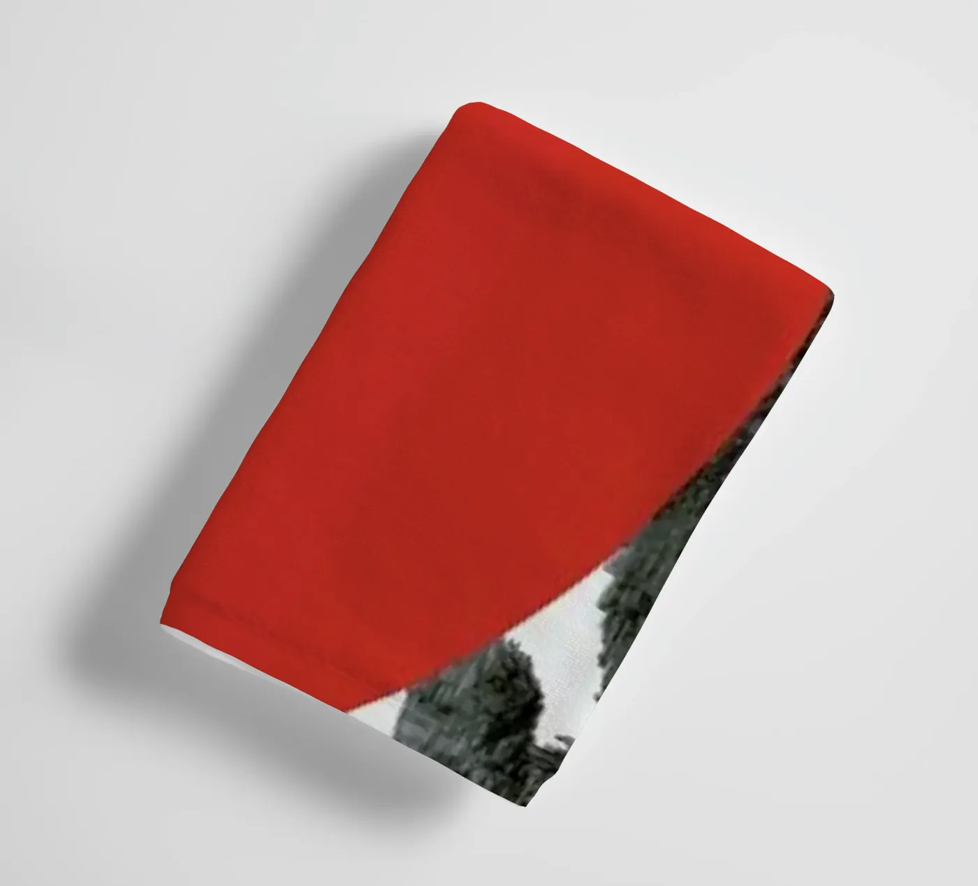 Bear Handtuch von Morgan Kendall