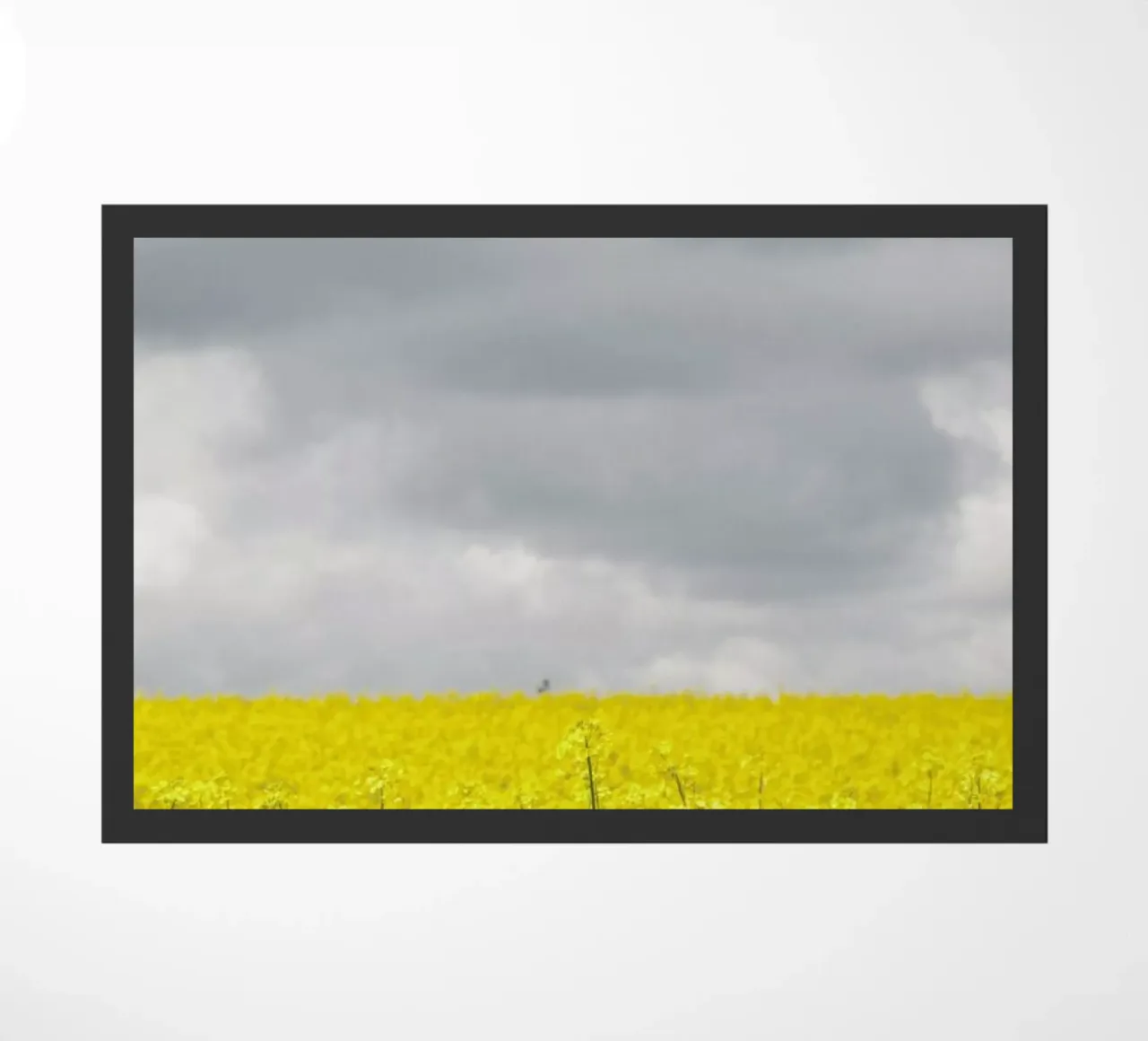 Grey Sky Meets Yellow Fields zerbino da Studio Nahili