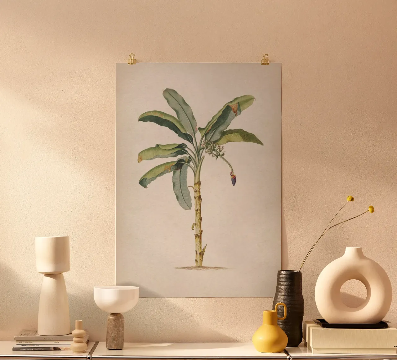 Vintage Ehret 3 Musae Maculato poster con telaio in alluminio da Vintage Print Collection