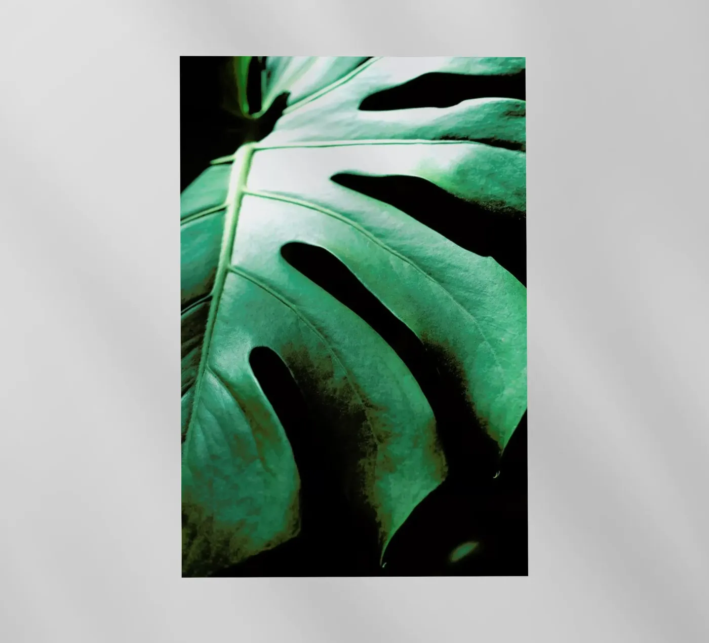 Monsteroga pellicola backlit da Ballack Art House