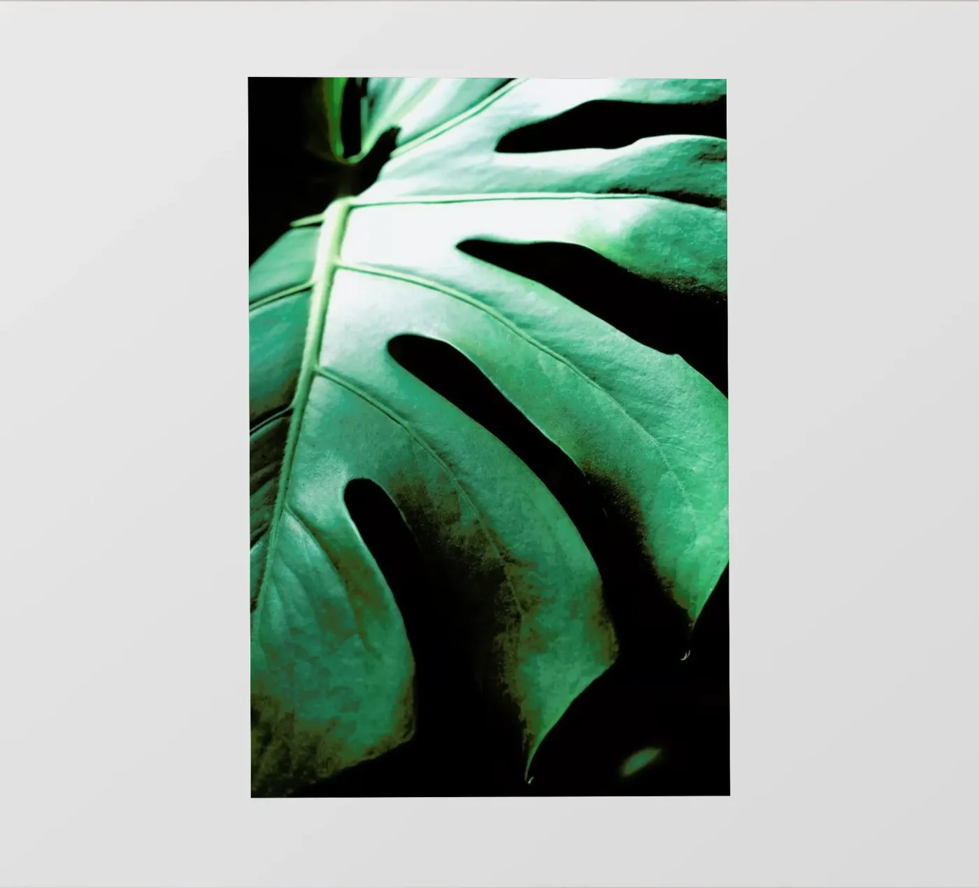 Monsteroga pellicola backlit da Ballack Art House