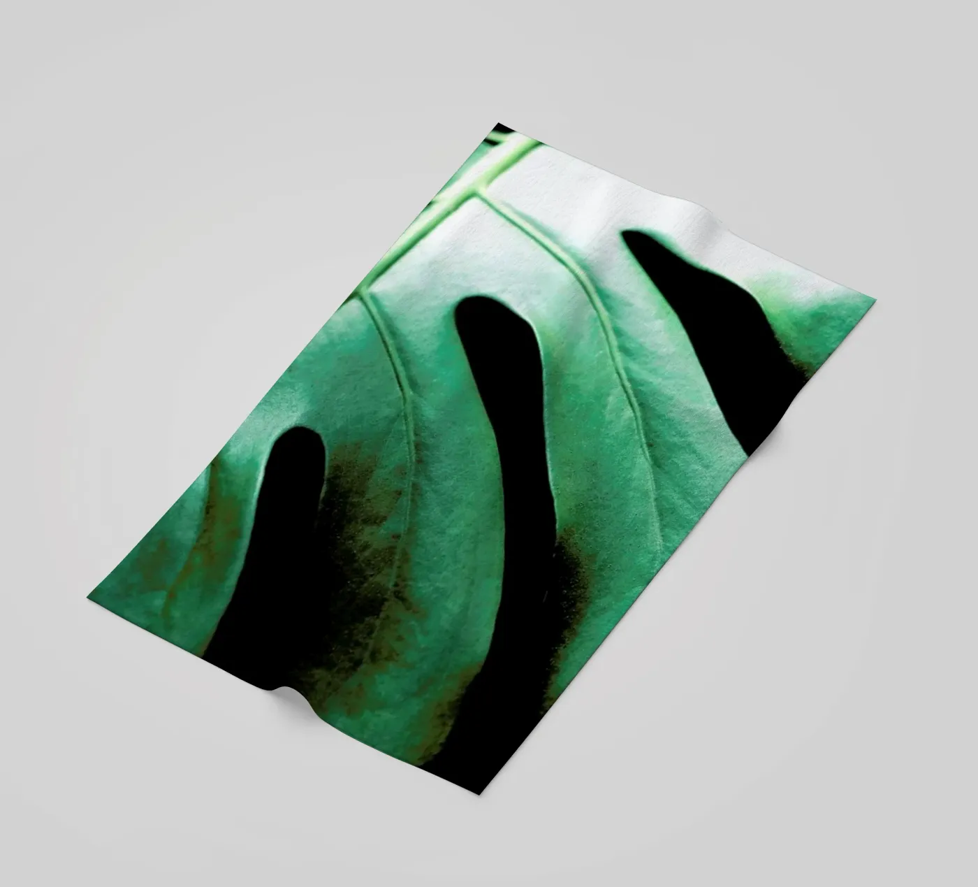 Monsteroga telo mare da Ballack Art House