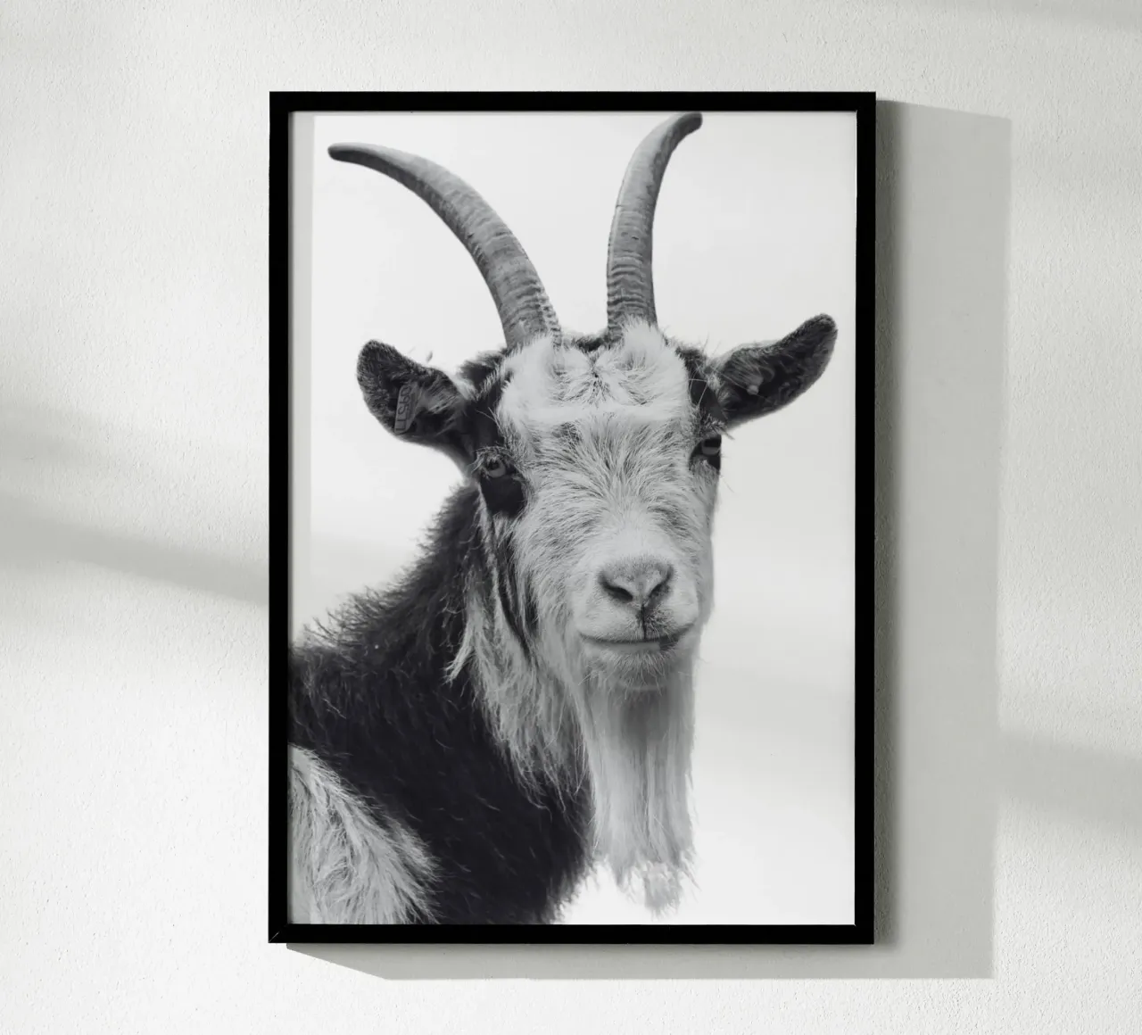 Ziege poster da DigiWunderwerk