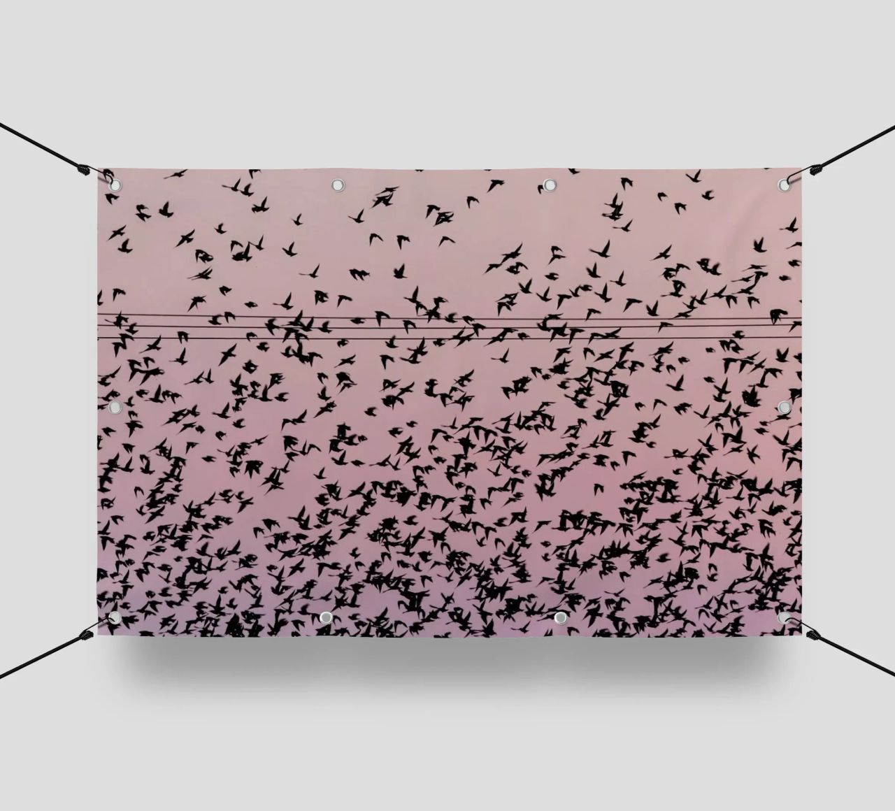Chaos in Bird Migration by @matthcon01 telo in pvc da EyeEm Mobile GmbH