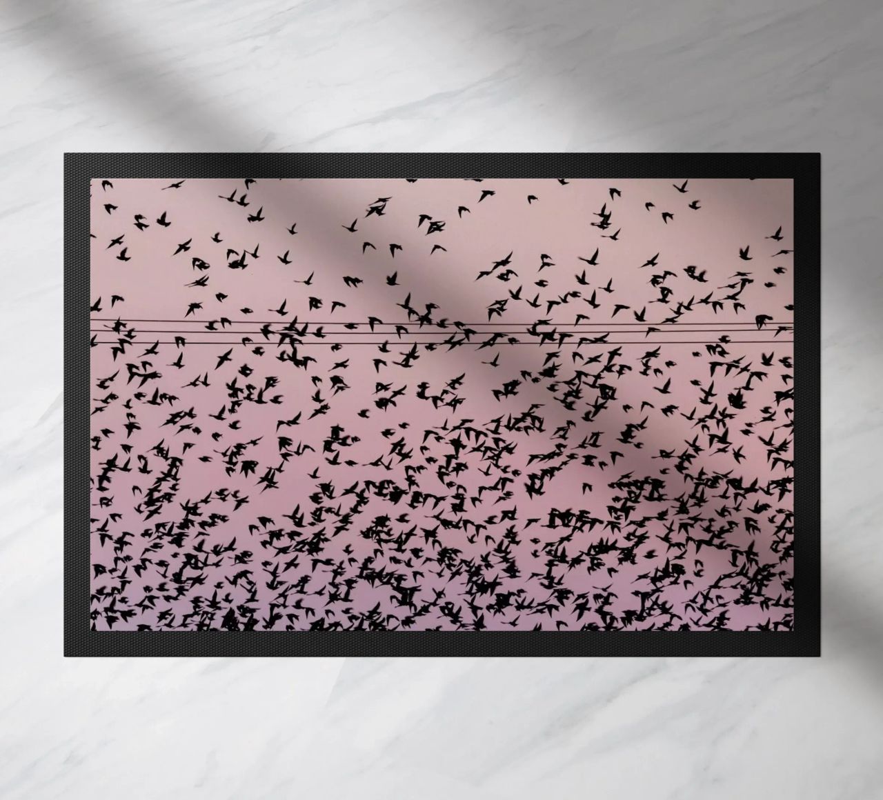 Chaos in Bird Migration by @matthcon01 zerbino da EyeEm Mobile GmbH