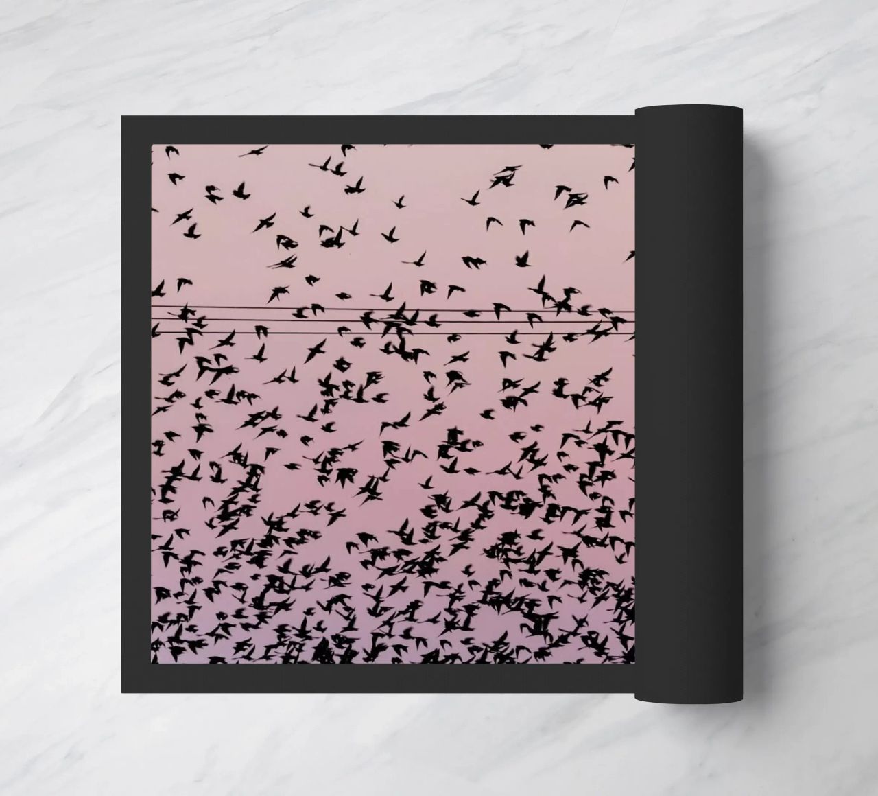 Chaos in Bird Migration by @matthcon01 zerbino da EyeEm Mobile GmbH