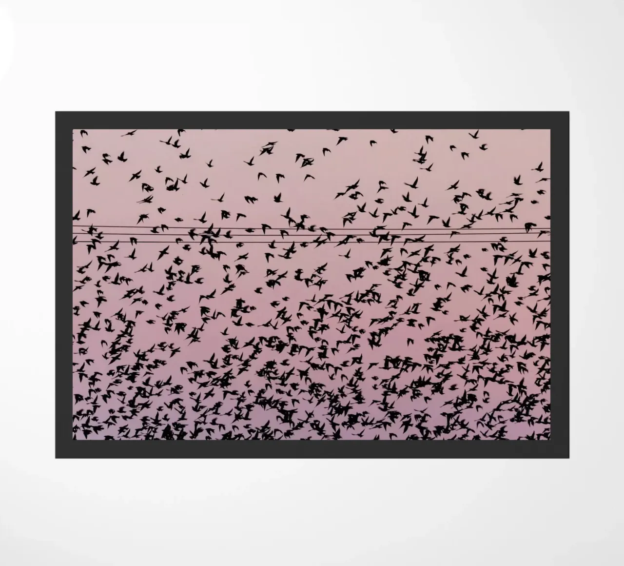 Chaos in Bird Migration by @matthcon01 Fußmatte von EyeEm Mobile GmbH