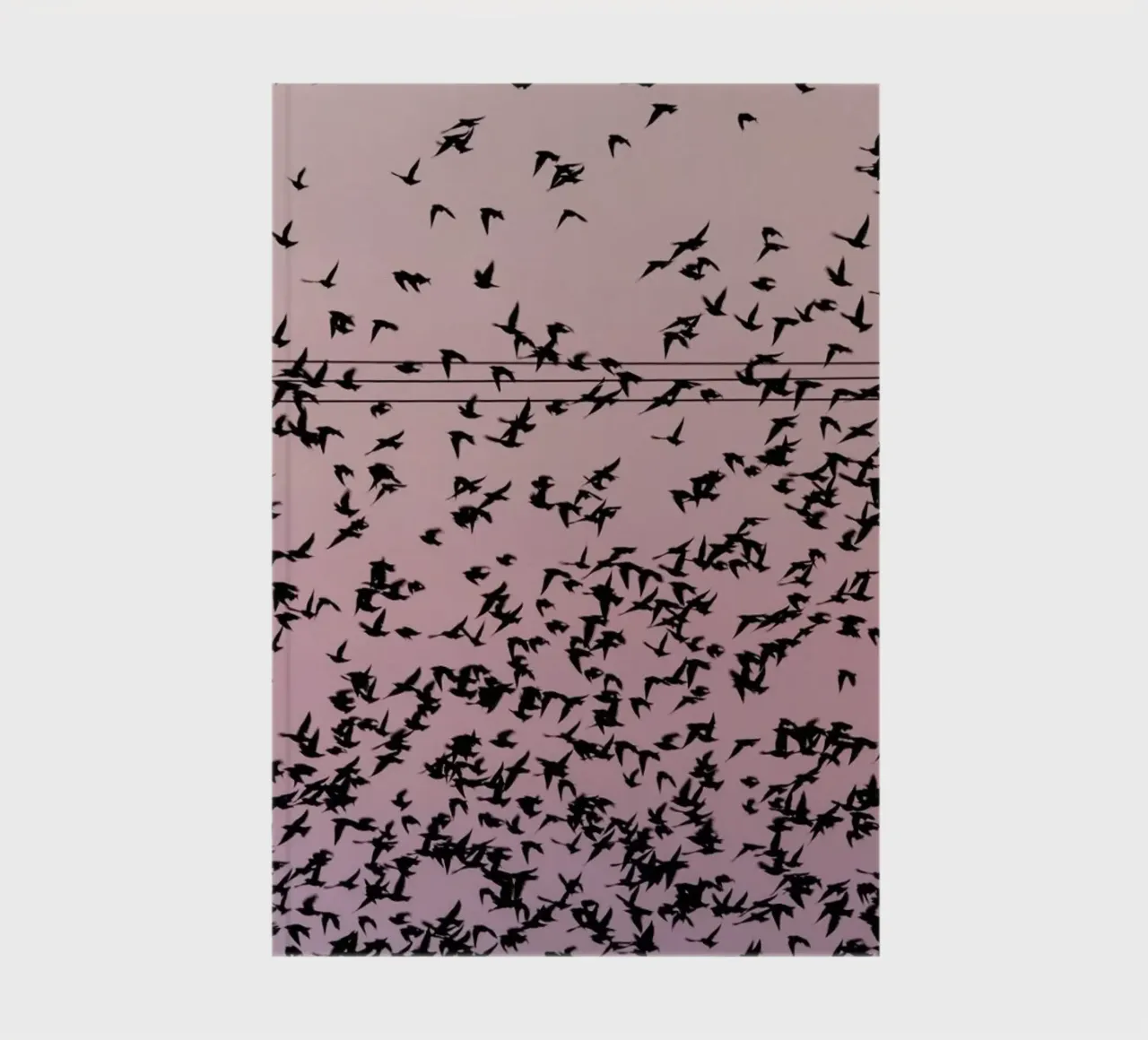 Chaos in Bird Migration by @matthcon01 carnet de notes de EyeEm Mobile GmbH