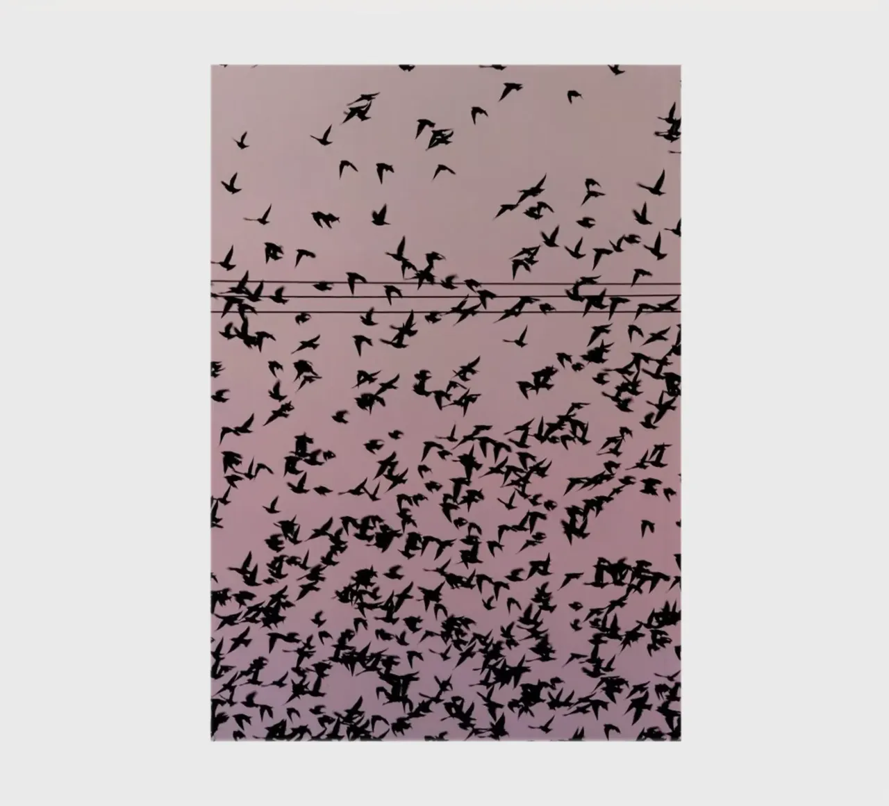 Chaos in Bird Migration by @matthcon01 carnet de notes de EyeEm Mobile GmbH