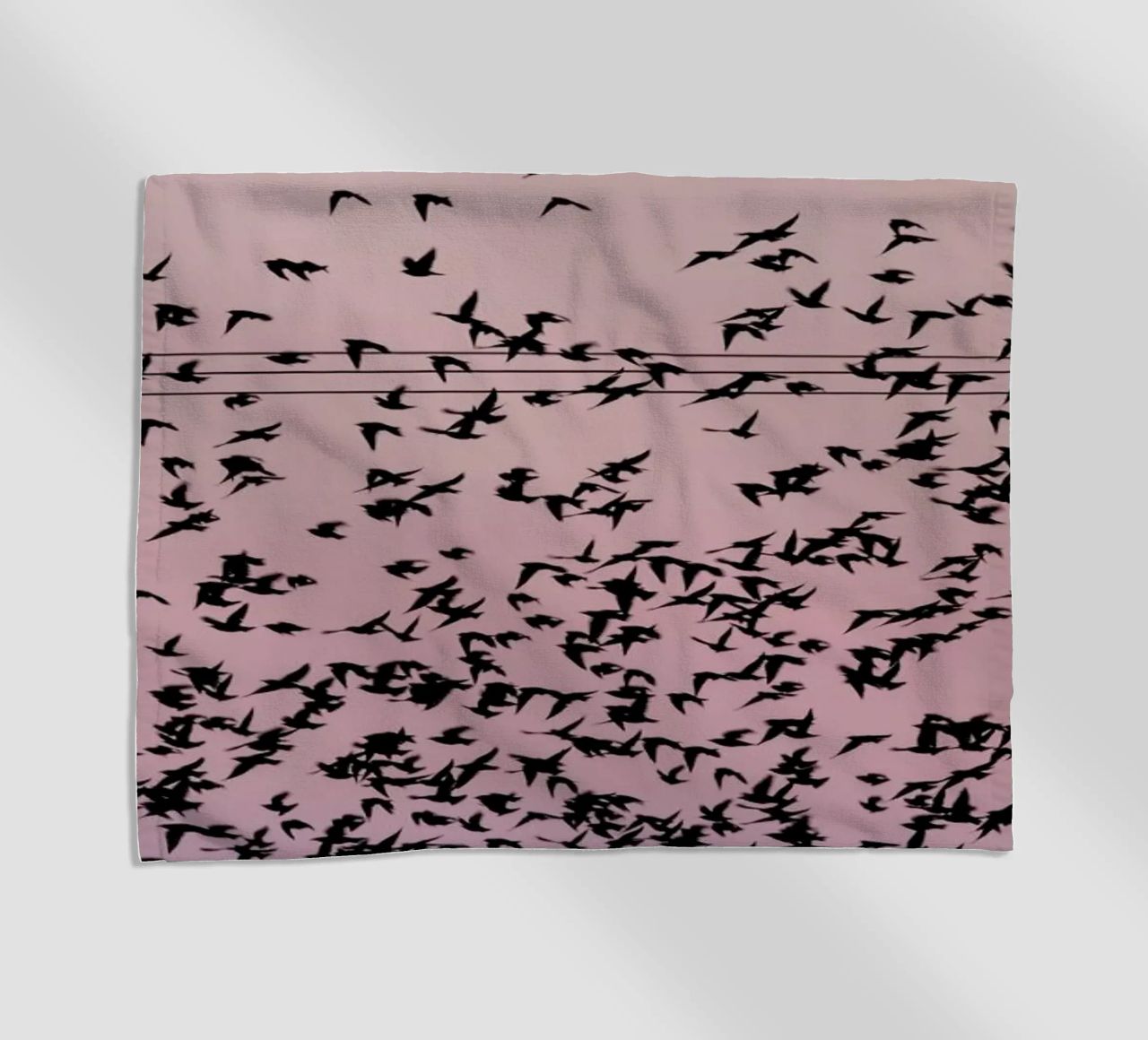 Chaos in Bird Migration by @matthcon01 telo mare da EyeEm Mobile GmbH