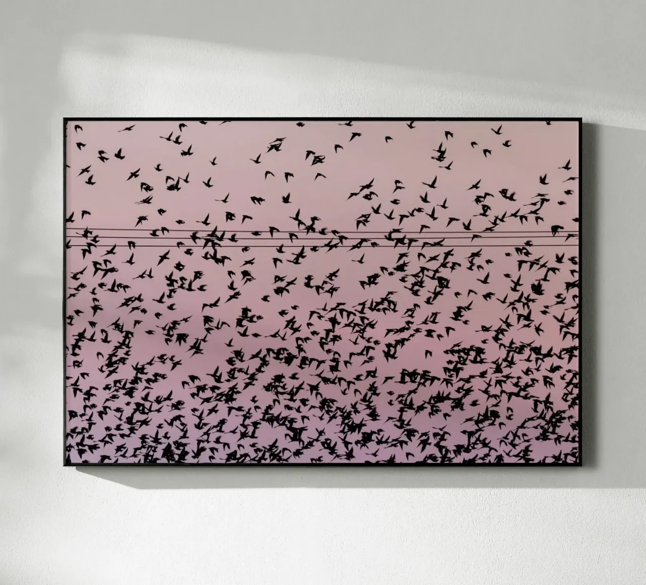 Chaos in Bird Migration by @matthcon01 plexiglas de EyeEm Mobile GmbH