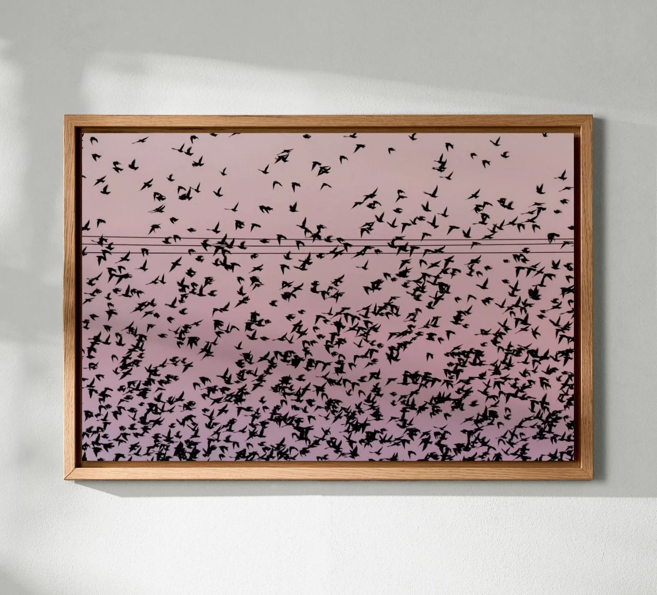 Chaos in Bird Migration by @matthcon01 tela da EyeEm Mobile GmbH