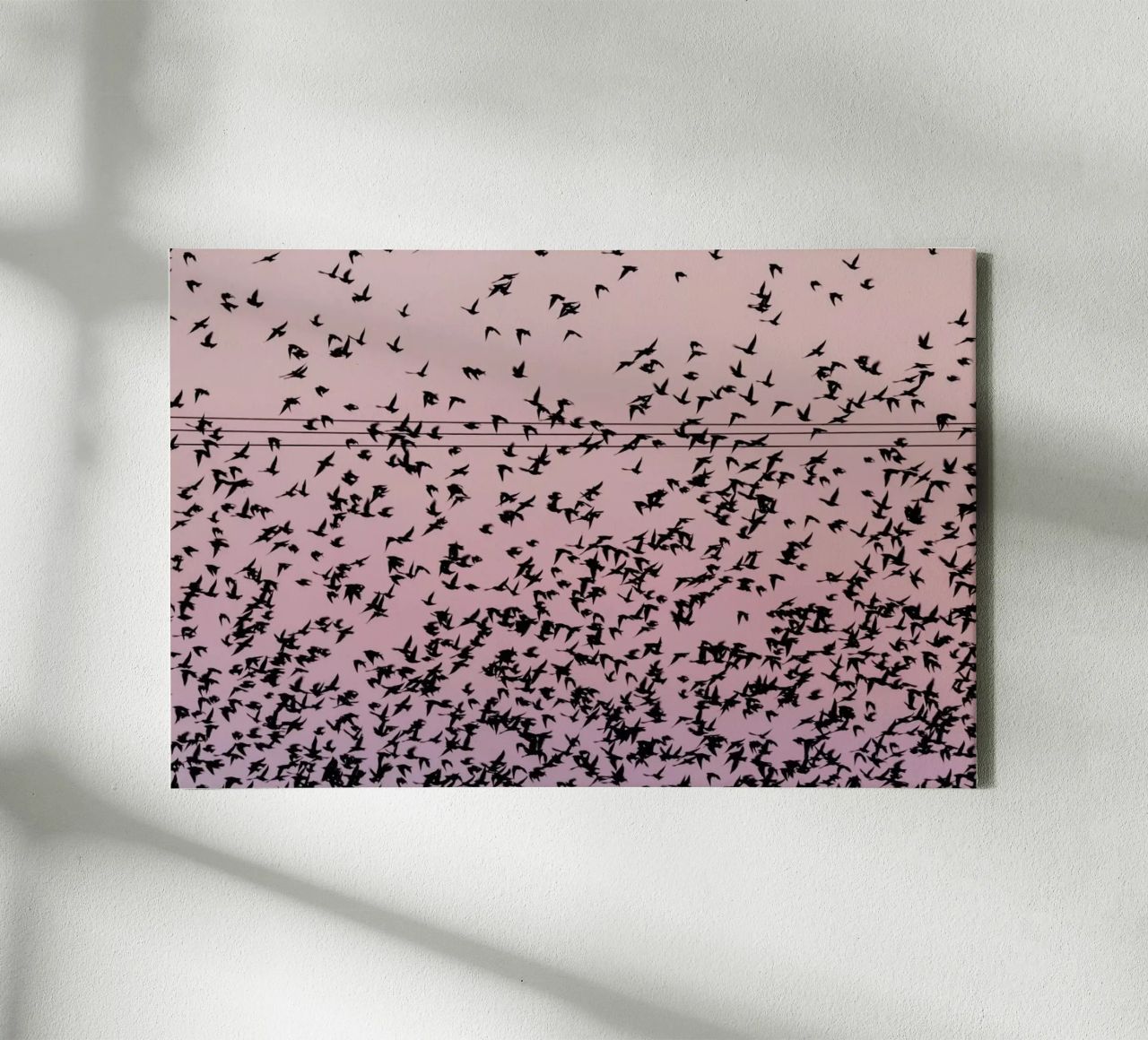 Chaos in Bird Migration by @matthcon01 tela da EyeEm Mobile GmbH
