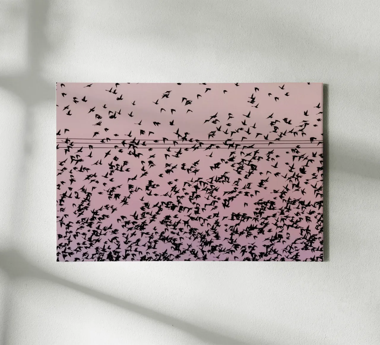 Chaos in Bird Migration by @matthcon01 toile de EyeEm Mobile GmbH