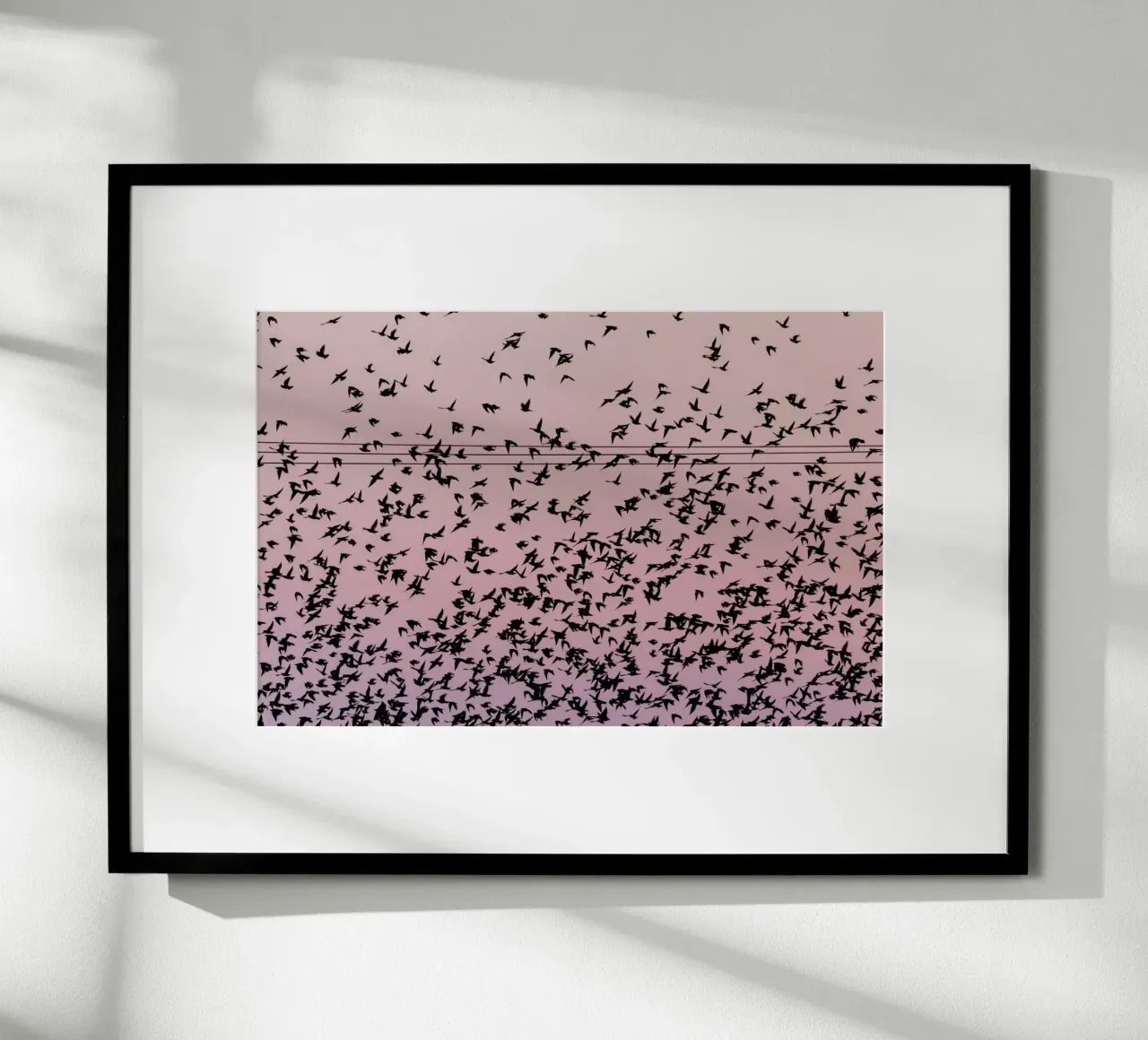 Chaos in Bird Migration by @matthcon01 hahnemühle de EyeEm Mobile GmbH