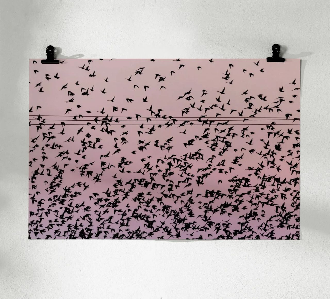 Chaos in Bird Migration by @matthcon01 poster con telaio in alluminio da EyeEm Mobile GmbH