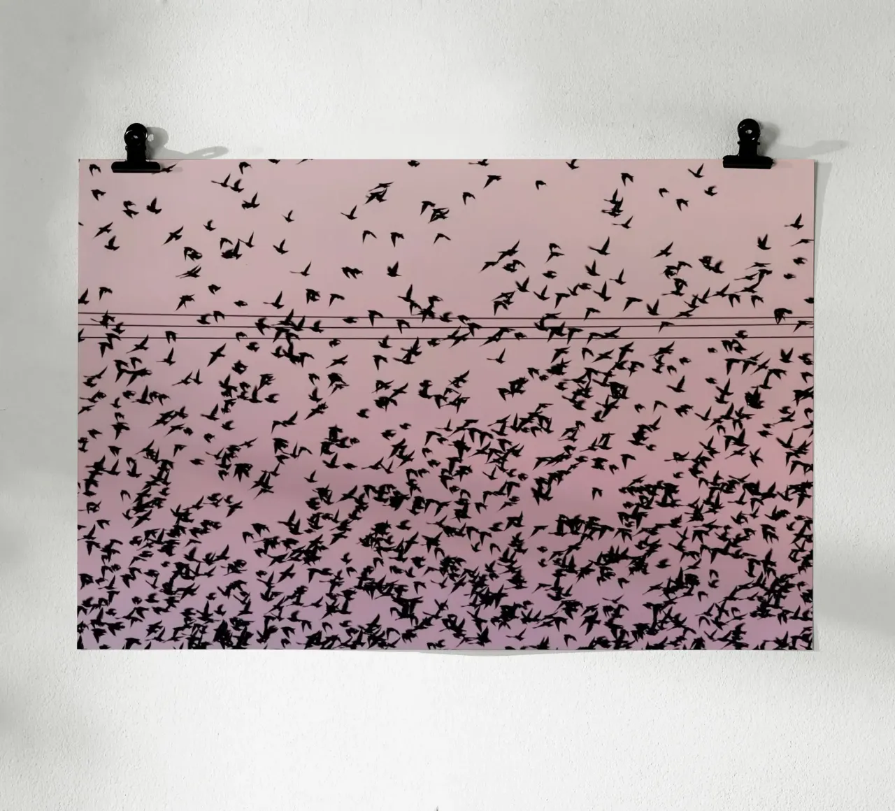 Chaos in Bird Migration by @matthcon01 hahnemühle de EyeEm Mobile GmbH