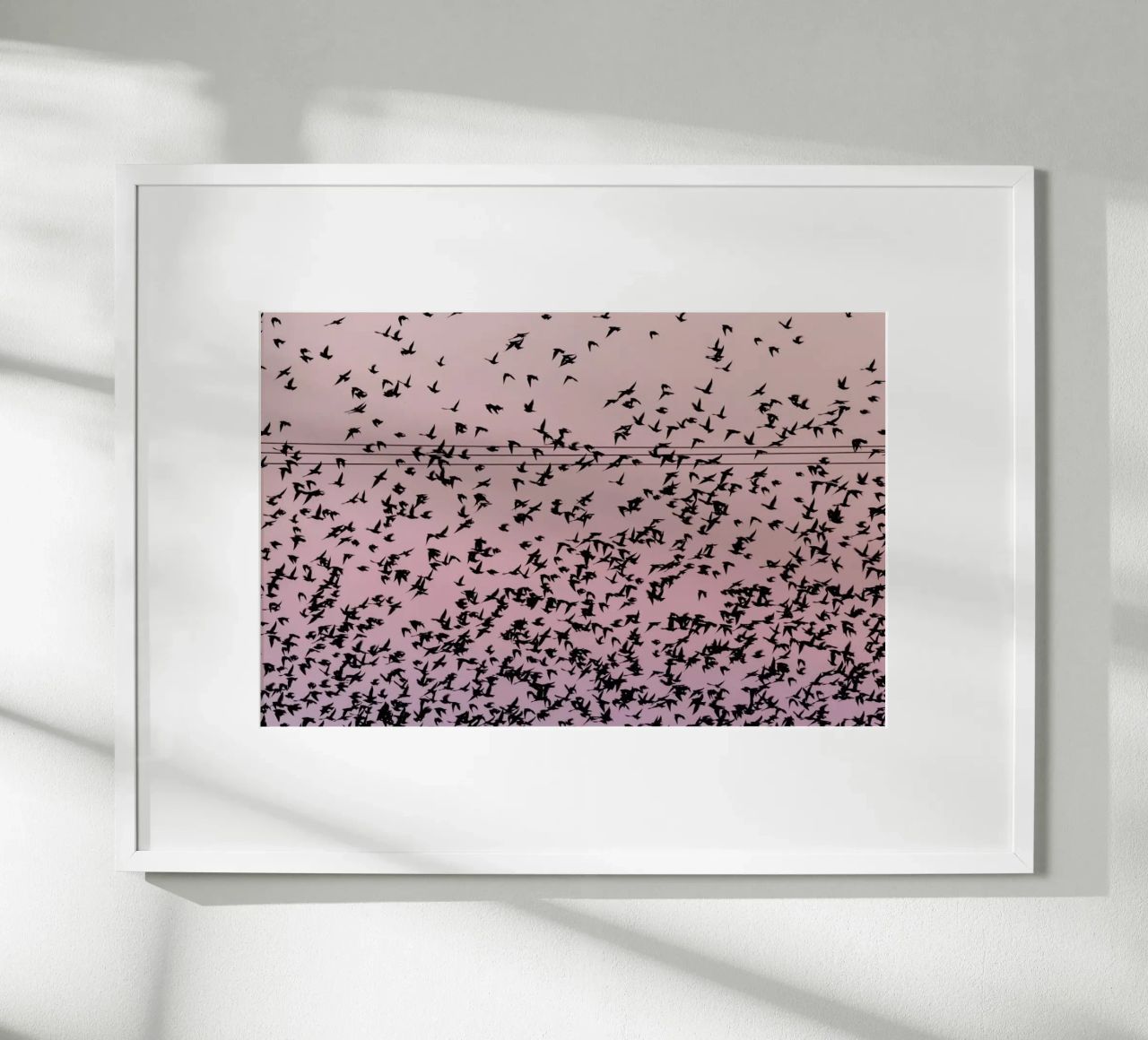 Chaos in Bird Migration by @matthcon01 poster con telaio in alluminio da EyeEm Mobile GmbH