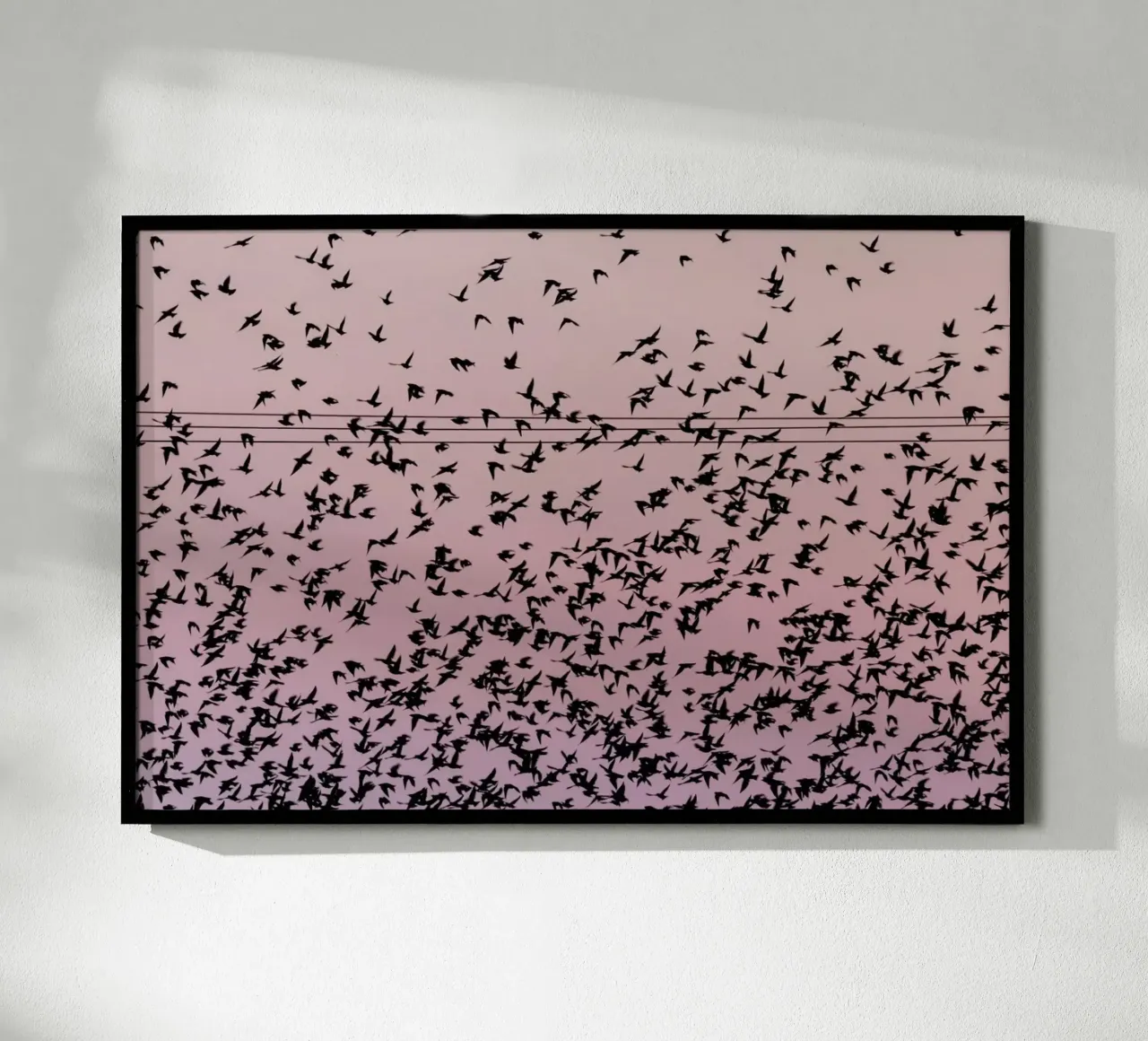 Chaos in Bird Migration by @matthcon01 Hahnemühle von EyeEm Mobile GmbH