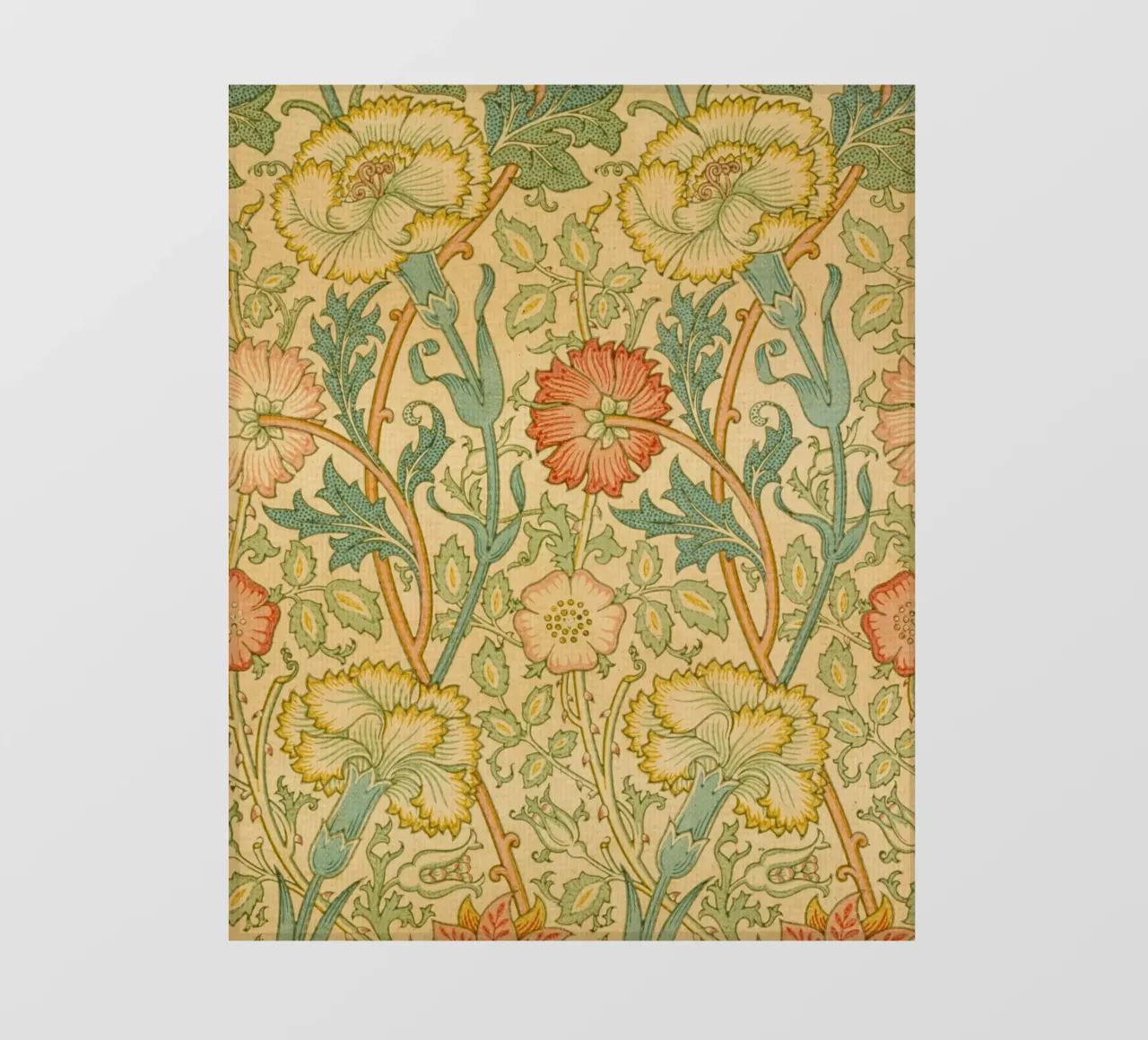 William Morris - Rosa e rosa pellicola backlit da William Store