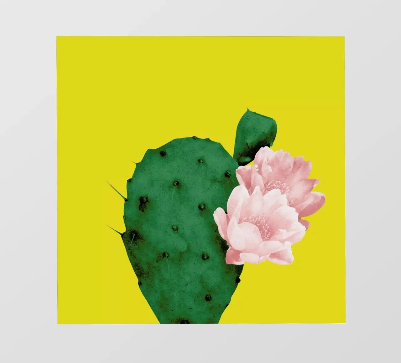 In Bloom telo in pvc da STUDIO LEEMO