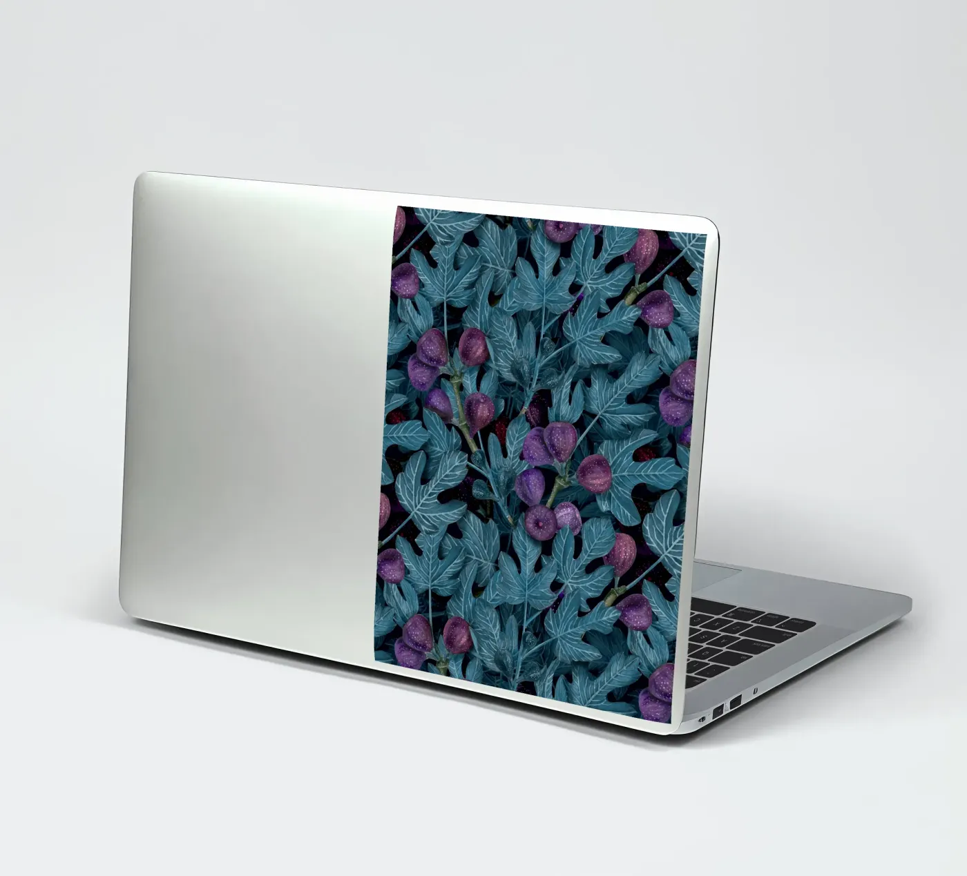 Feigen Sticker von Painted Nature