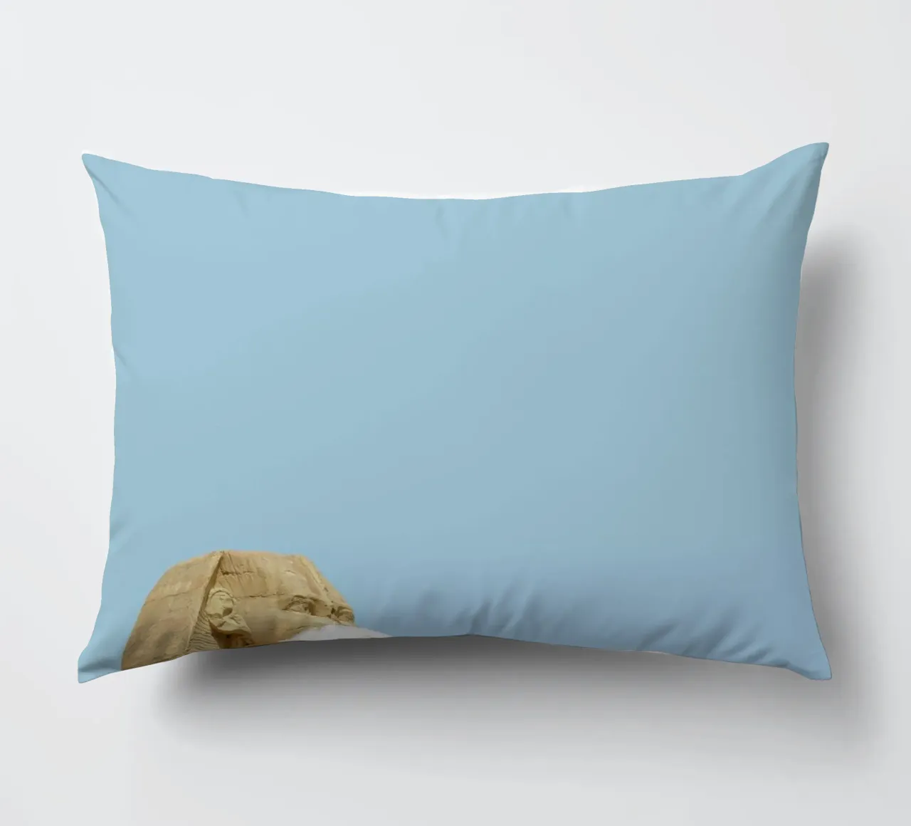 She decorative cushion by Rafael Burato
