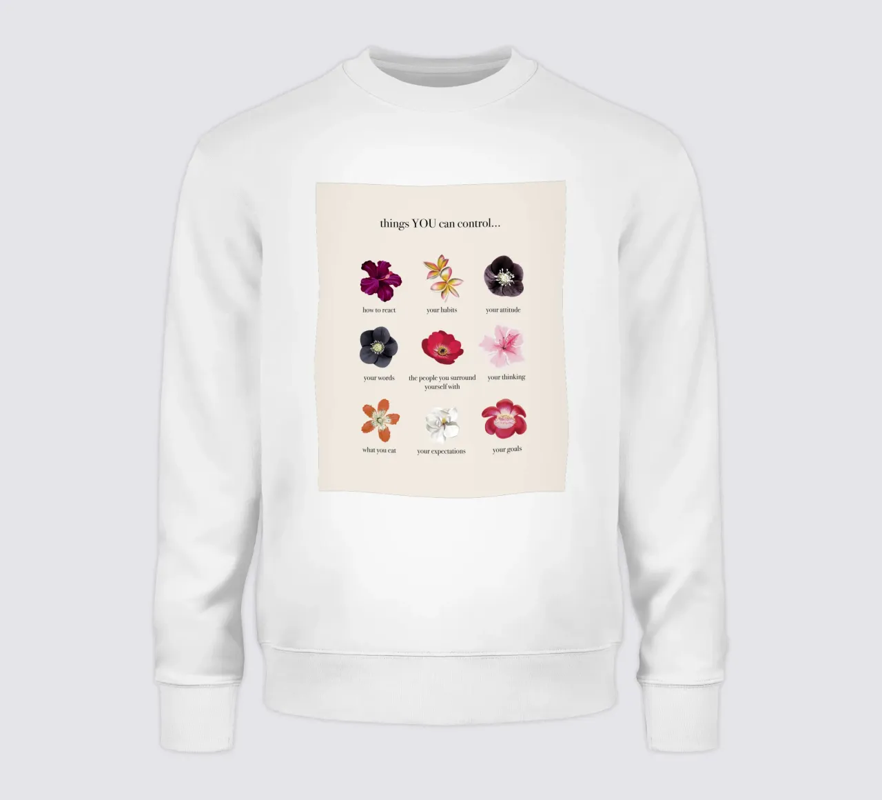 Things you CAN control felpa da anisillustration