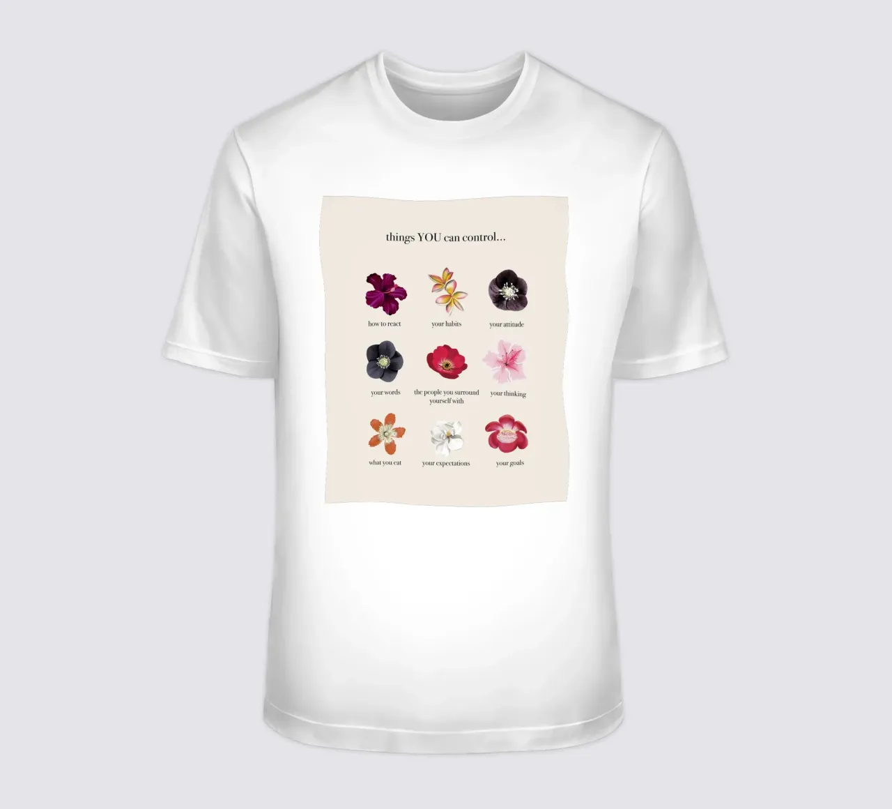 Things you CAN control t-shirt da anisillustration