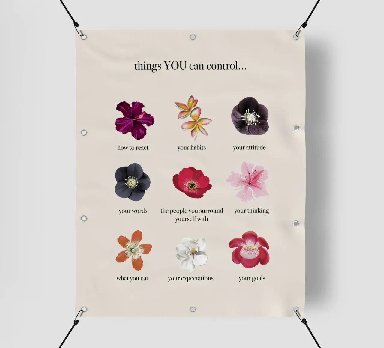 Things you CAN control telo in pvc da anisillustration