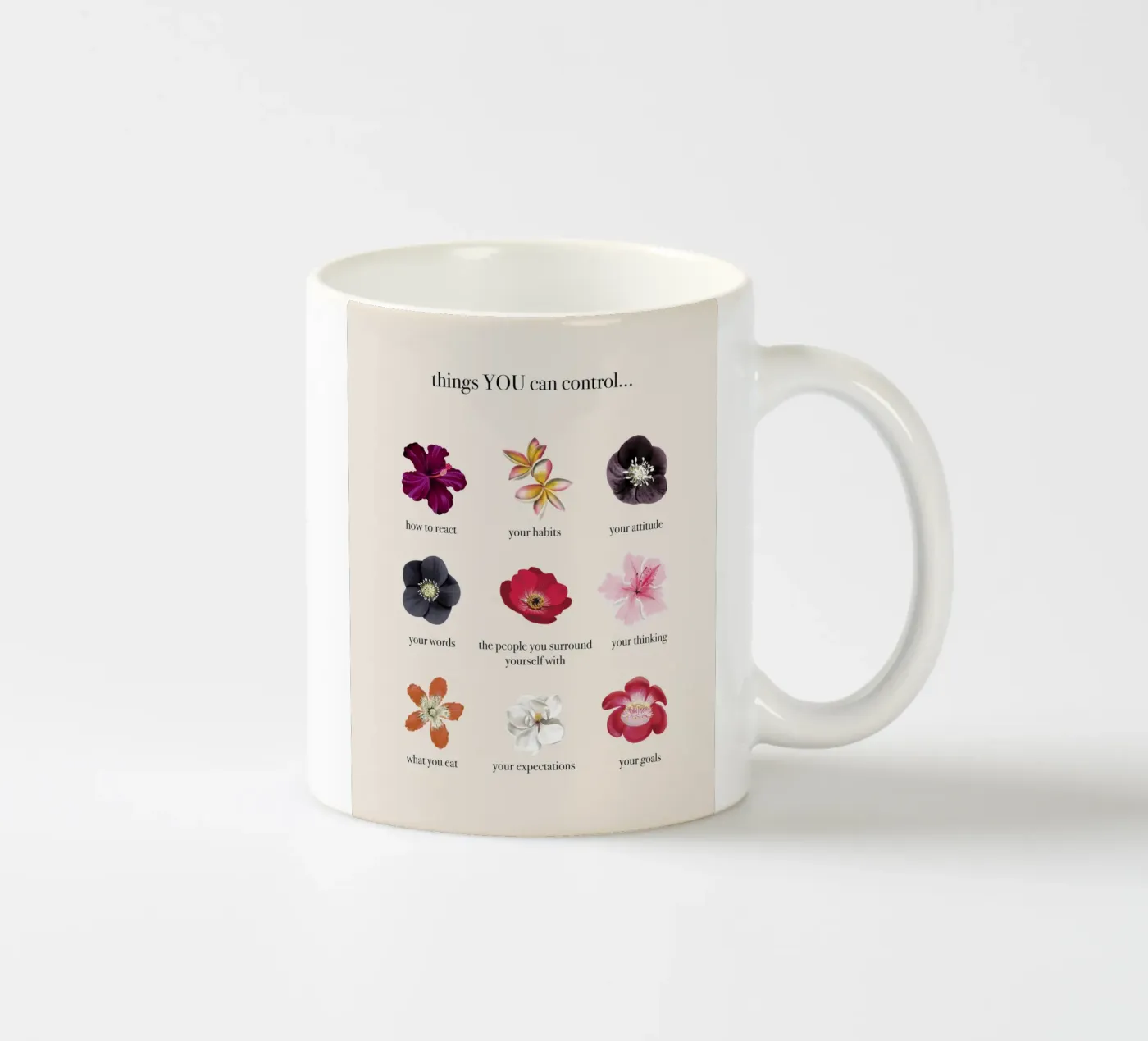 Things you CAN control ceramic mug by anisillustration