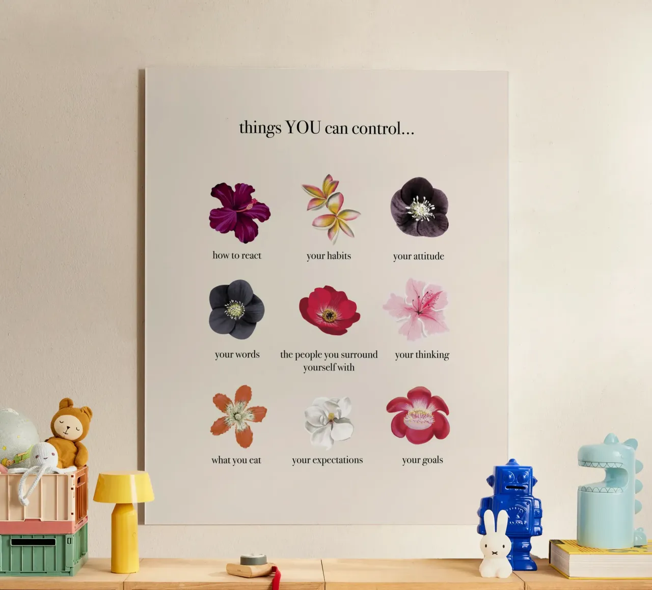 Things you CAN control plexiglass da anisillustration