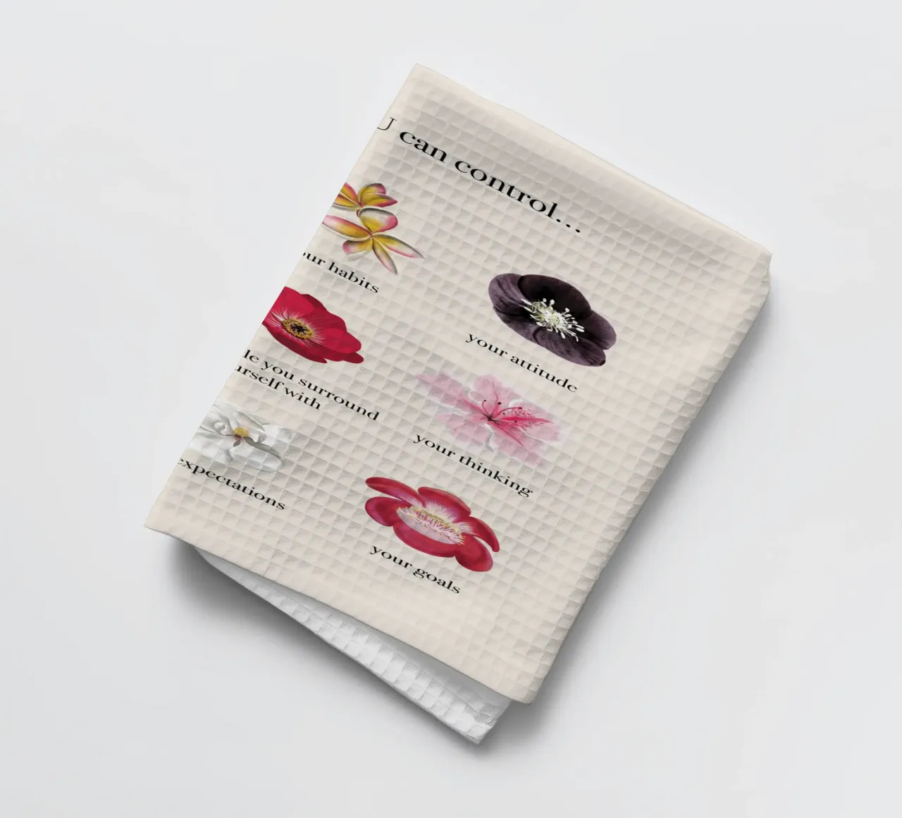 Things you CAN control canovaccio da cucina da anisillustration
