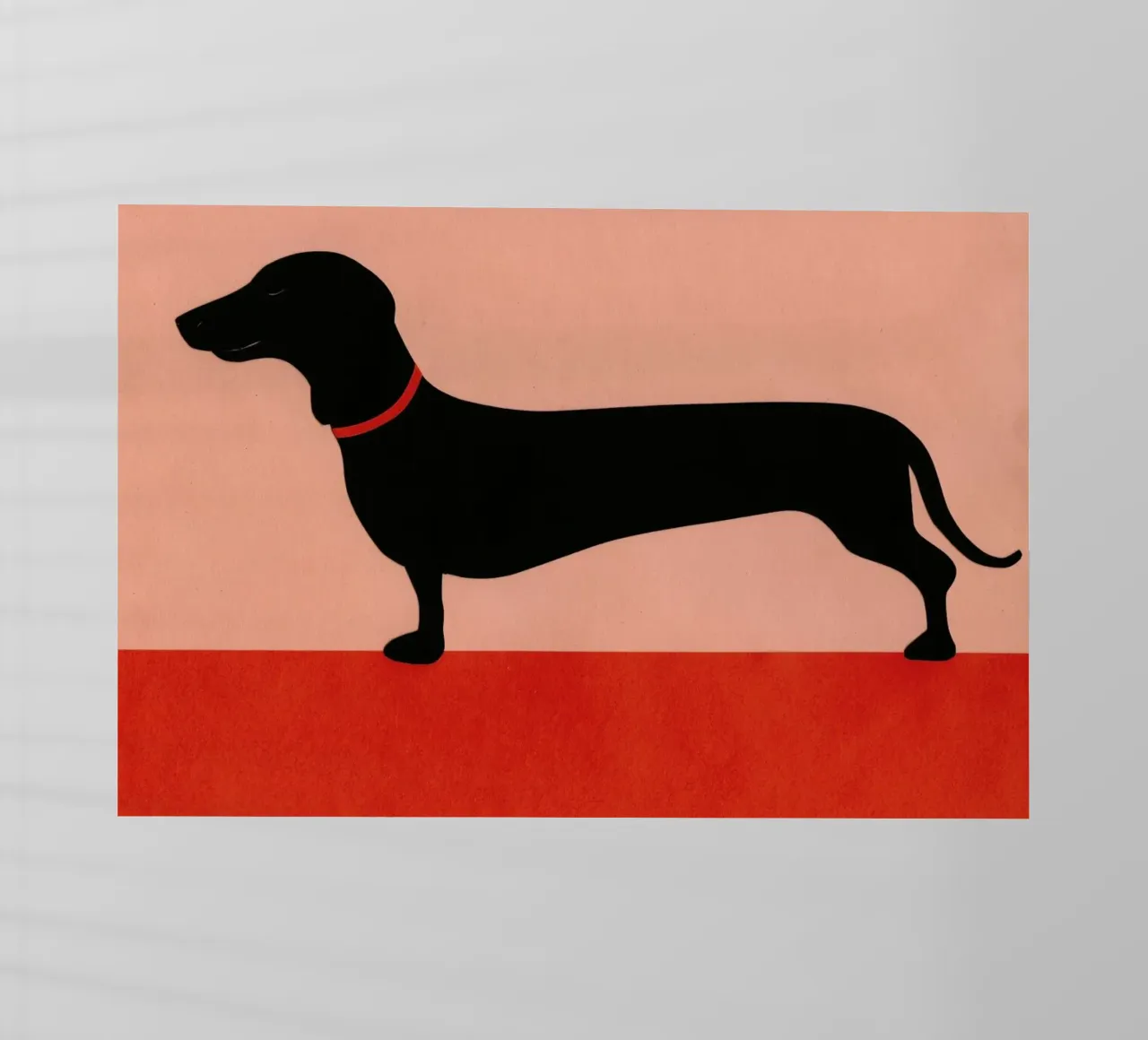 Dachshund Rosi pellicola backlit da Rosi Feist
