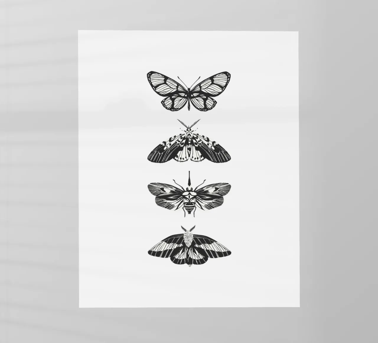 farfalla pellicola backlit da khoailang