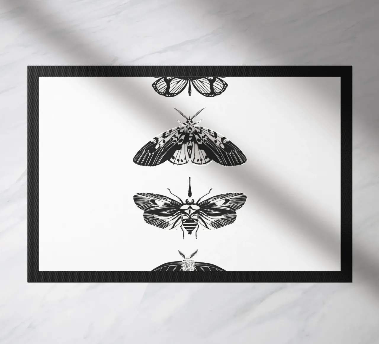 farfalla zerbino da khoailang