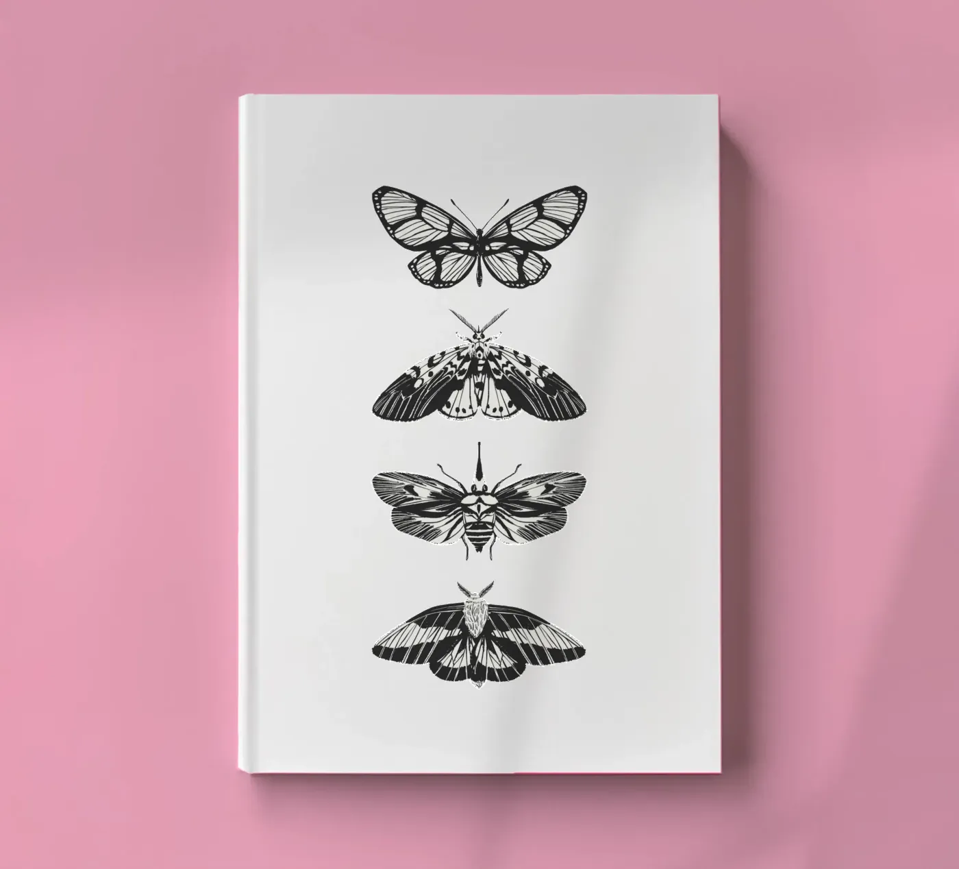 farfalla quaderno da khoailang