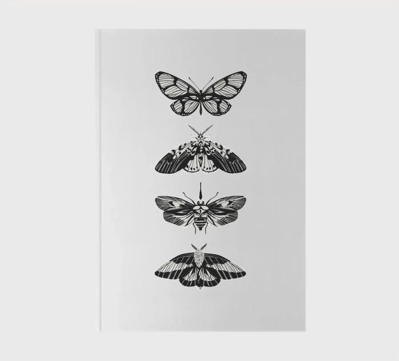 farfalla quaderno da khoailang
