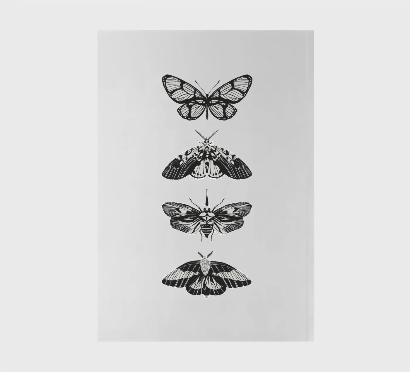 farfalla quaderno da khoailang
