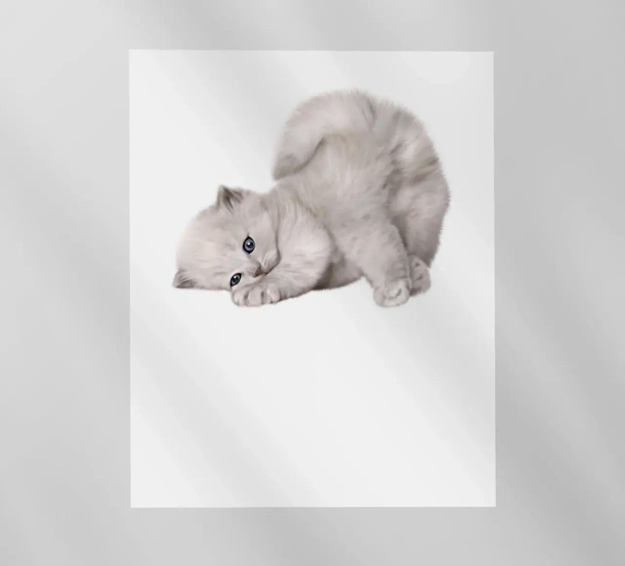 gatto pellicola backlit da khoailang