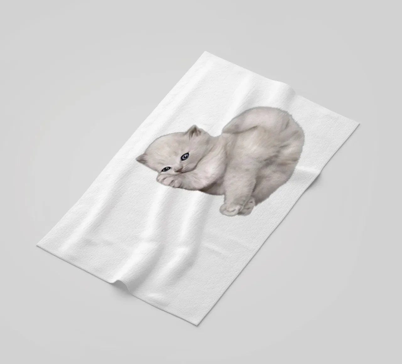 gatto telo mare da khoailang