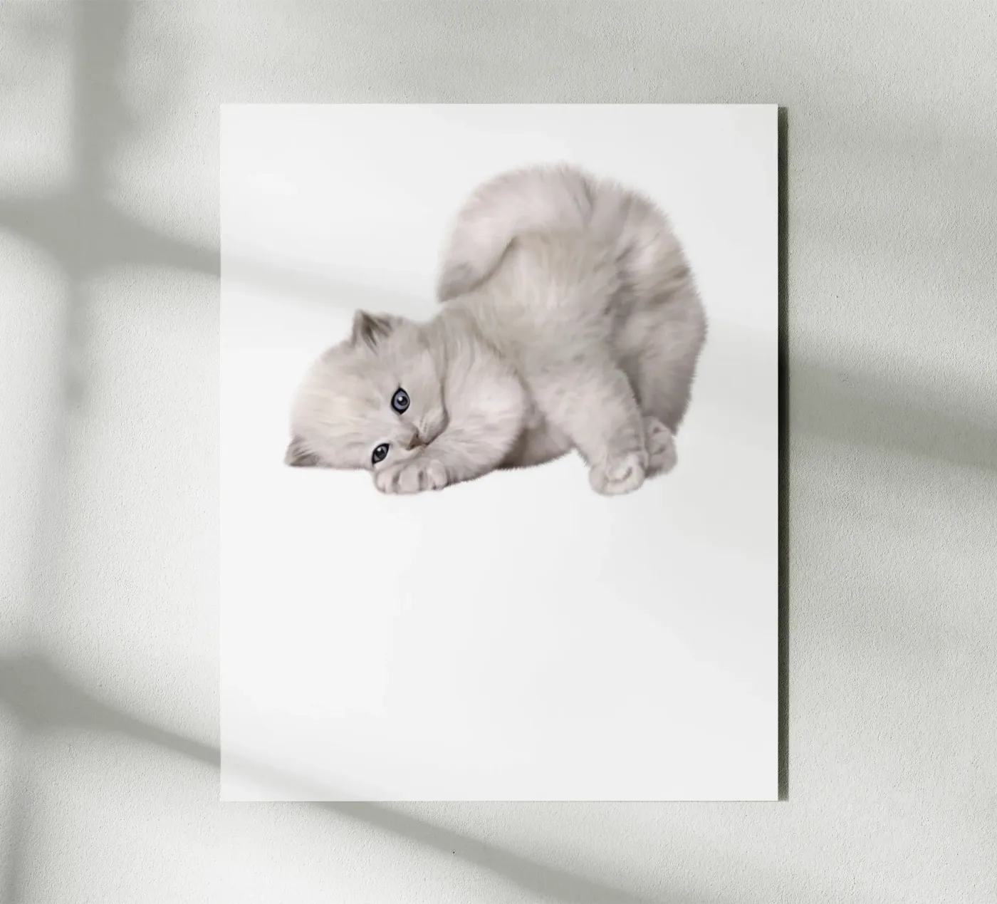 cat forex plate by khoailang