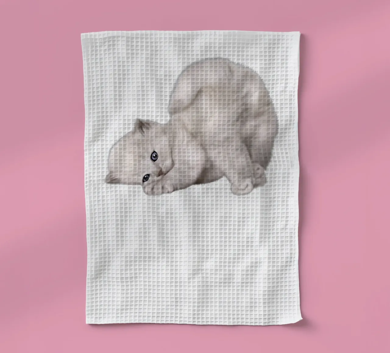 gatto canovaccio da cucina da khoailang