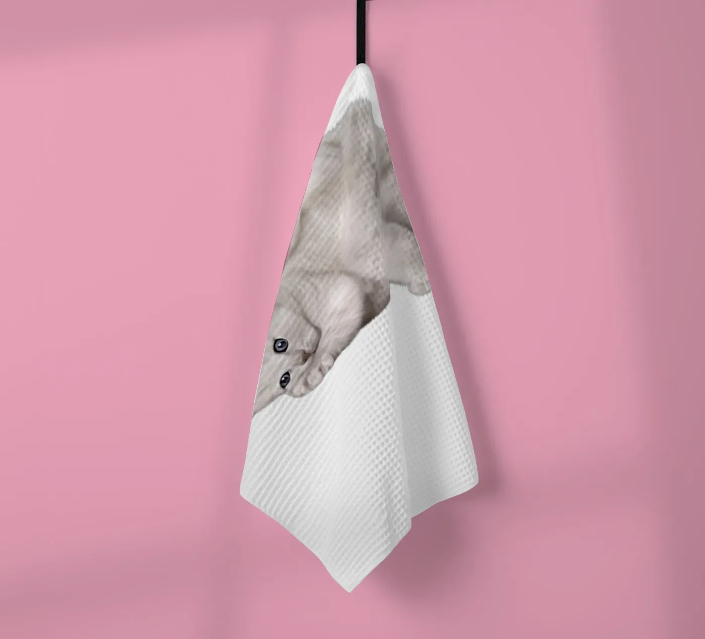 cat torchon de khoailang