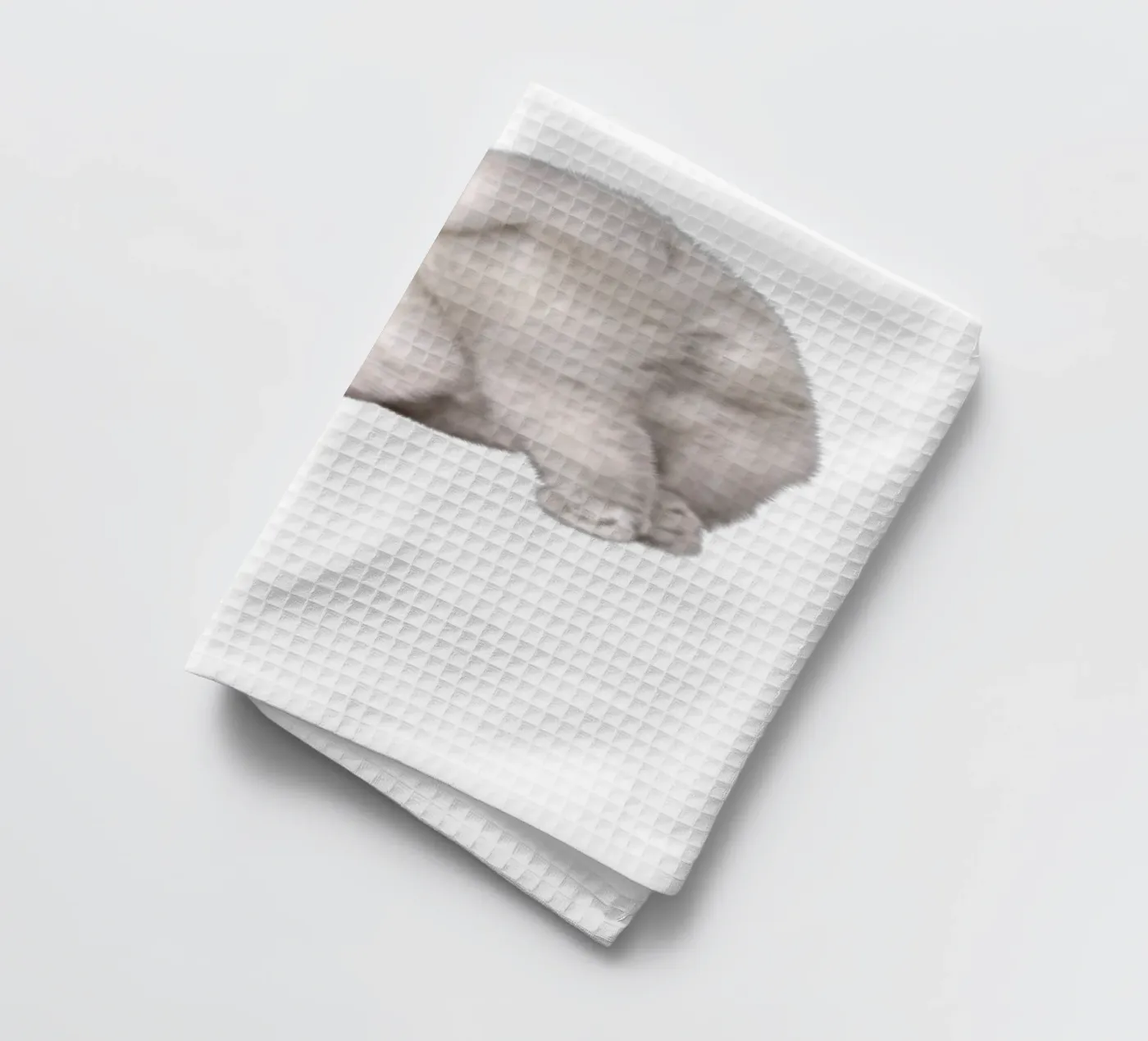 cat torchon de khoailang