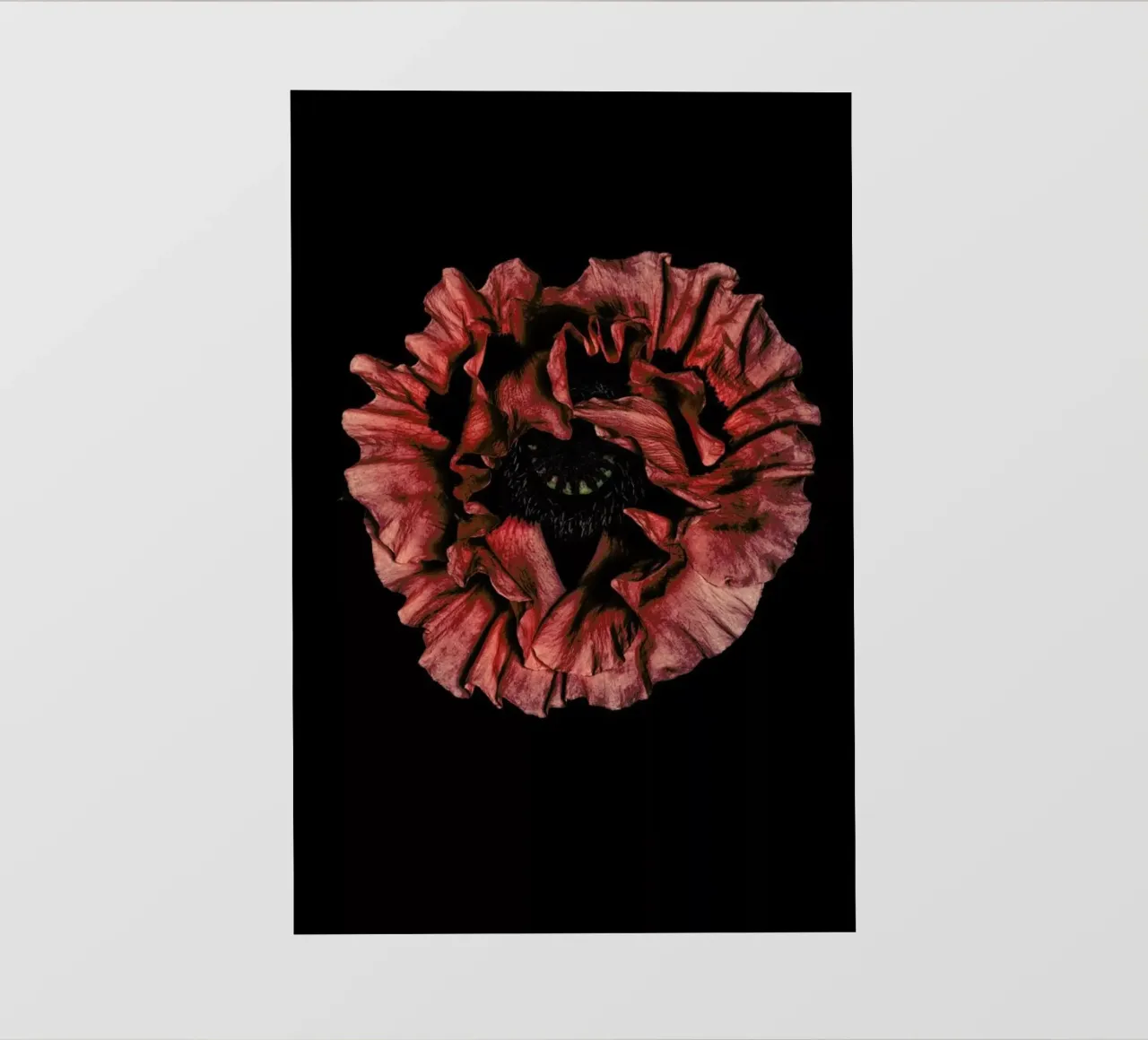 Poppy Flower telo in pvc da Curious Collections by Marielle Leenders